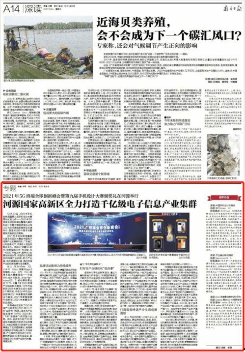 河源爆料日报最新消息,最新动态盘点，揭秘河源热点事件！