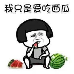 吃娱乐圈瓜应该去哪里,揭秘热门明星幕后故事，吃瓜指南大放送！