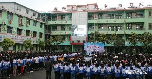 阜阳爆料临泉新闻视频,揭秘最新爆料视频背后的真相 第3张 阜阳爆料临泉新闻视频,揭秘最新爆料视频背后的真相 第3张